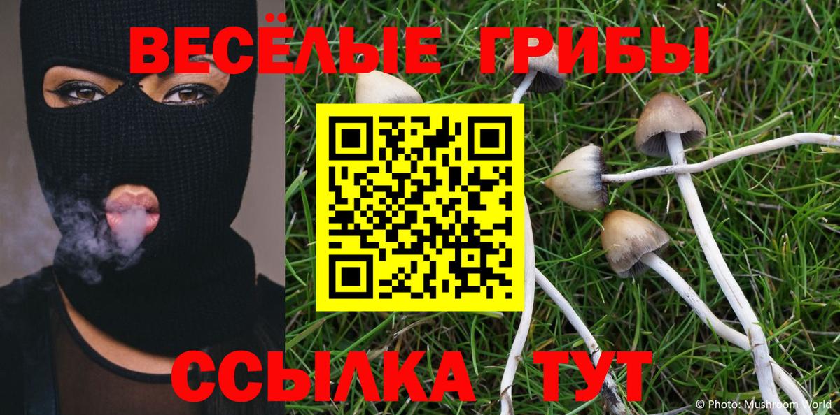 Галлюциногенные грибы Psilocybine cubensis Архангельск